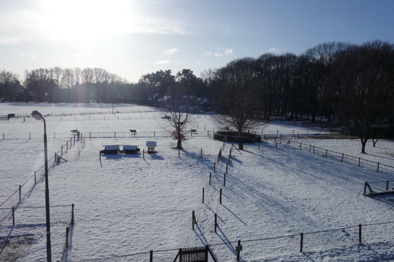 B&B Achterom Loon op Zand Exterior photo